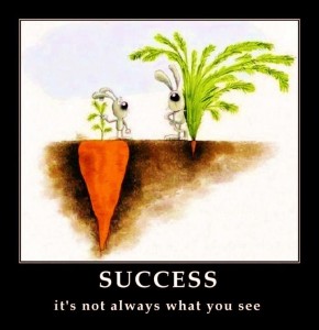 Success: It's not always what you see